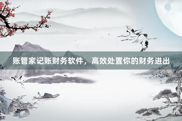 账管家记账财务软件，高效处置你的财务进出